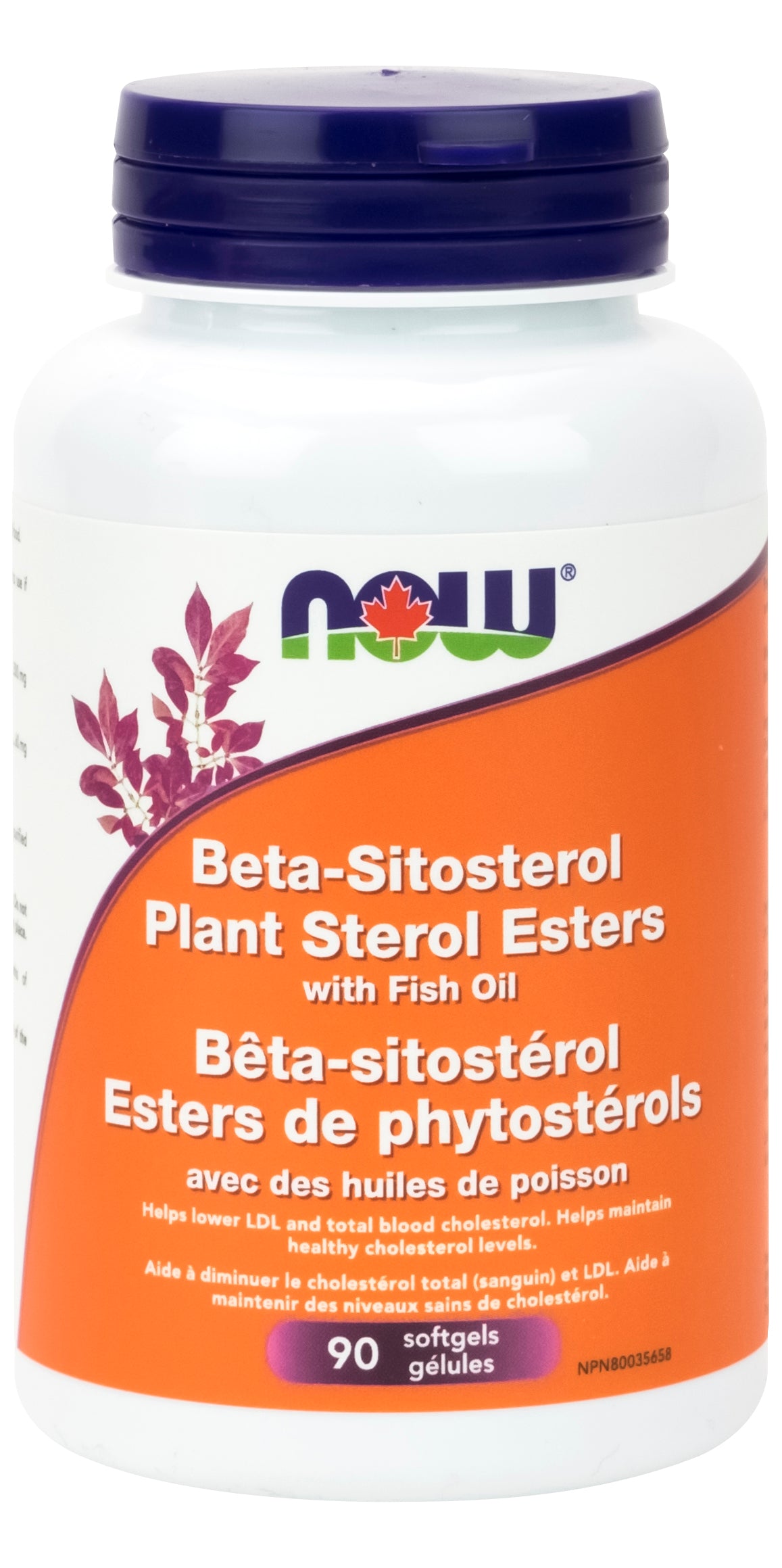 NOW Beta-Sitosterol With Fish Oil 90 Softgels