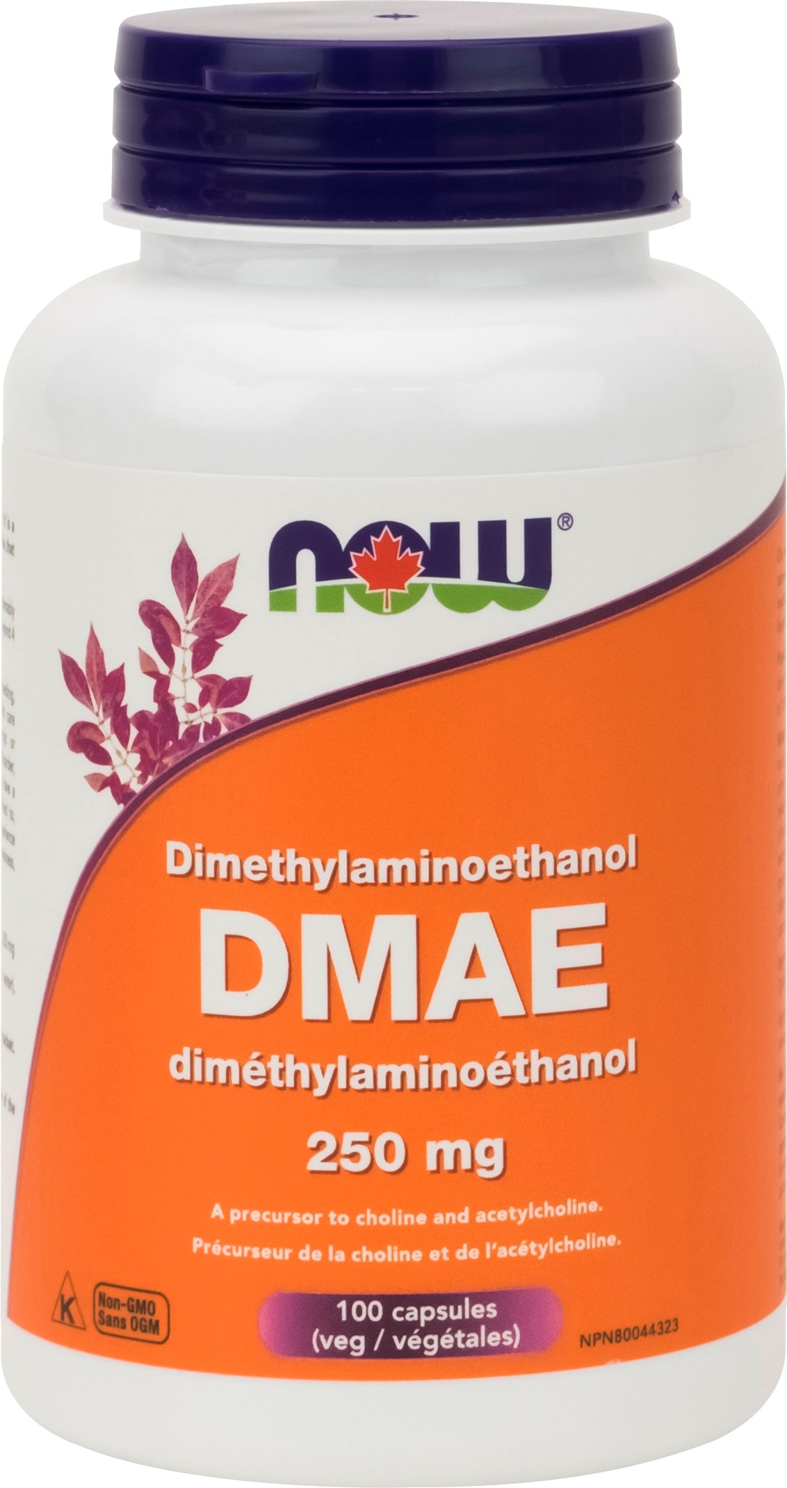 NOW DMAE Dimethylaminoethanol 250mg 100 Capsules