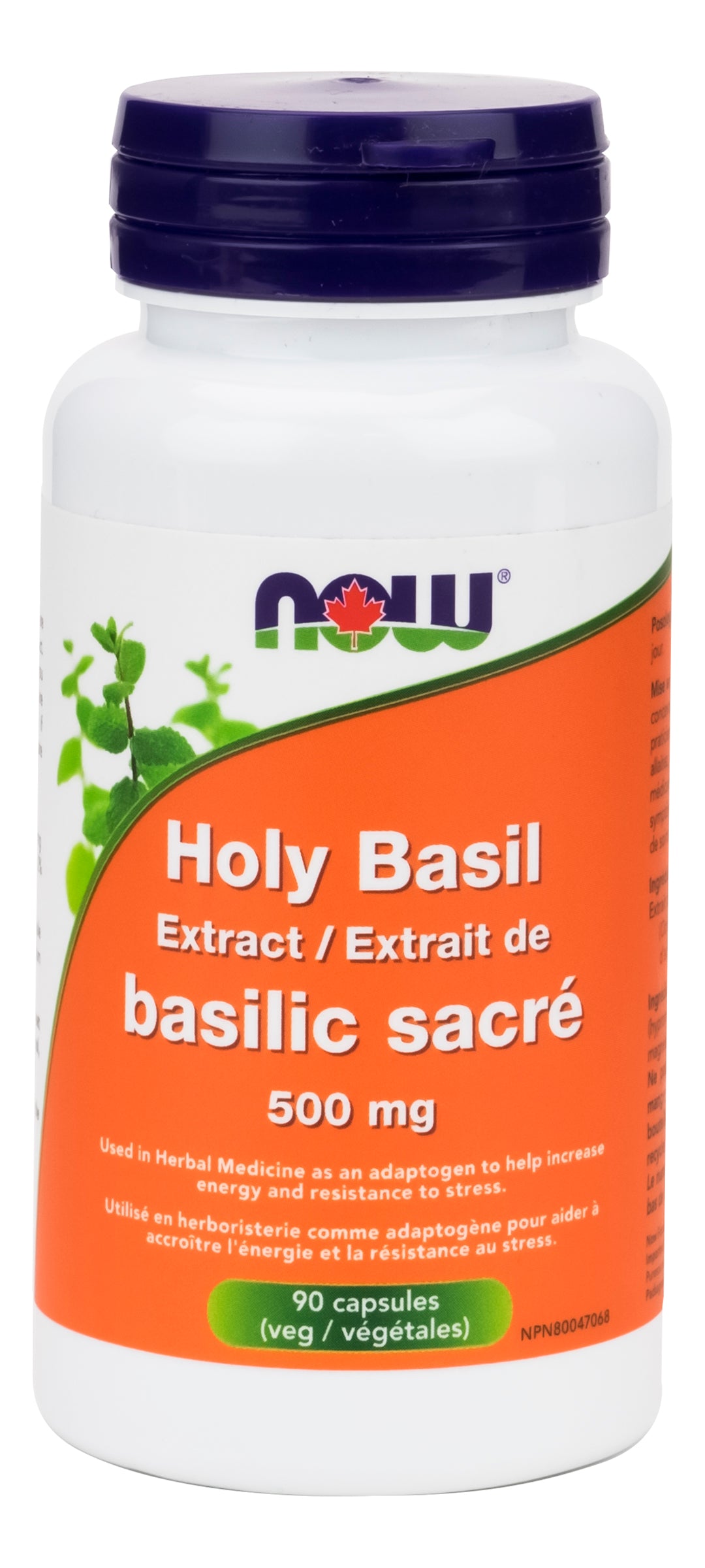 NOW Holy Basil 500mg 90 Vegetarian Capsules
