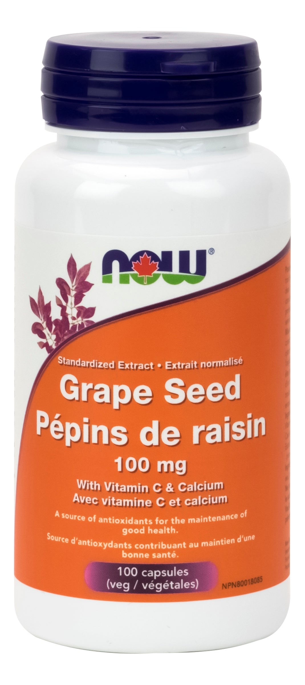 NOW Grape Seed Extract 100mg 100 Vegetarian Capsules