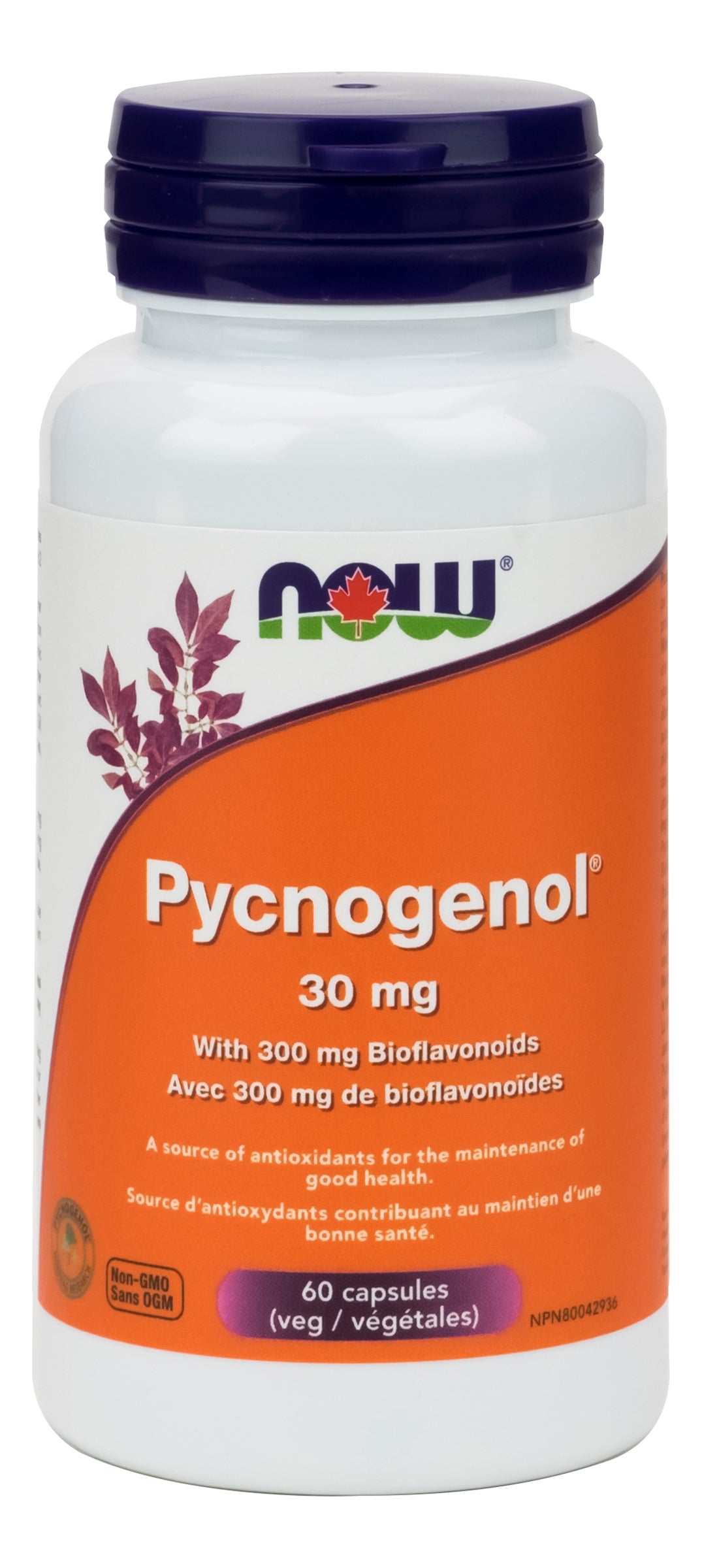 NOW Pycnogenol 30mg 60 Capsules