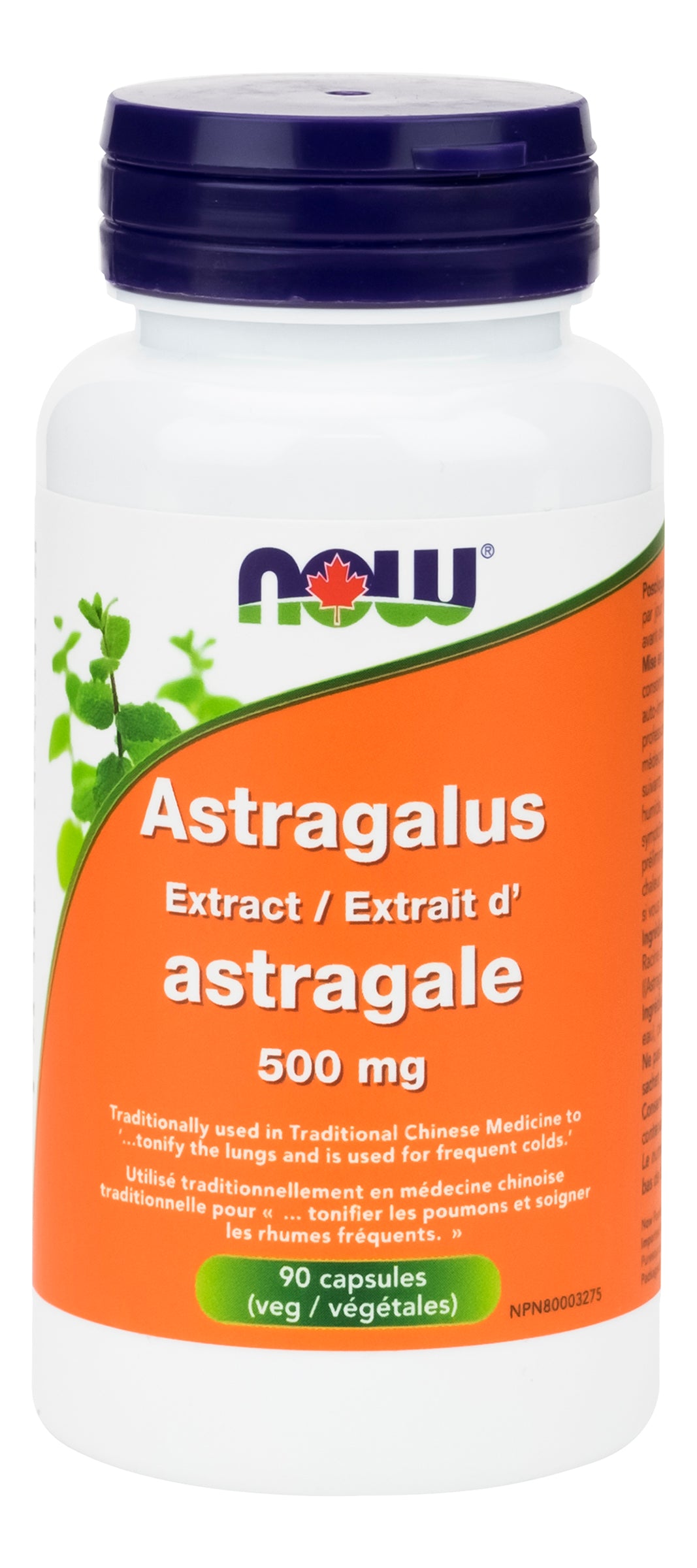NOW Astragalus Extract 500mg 90 Capsules