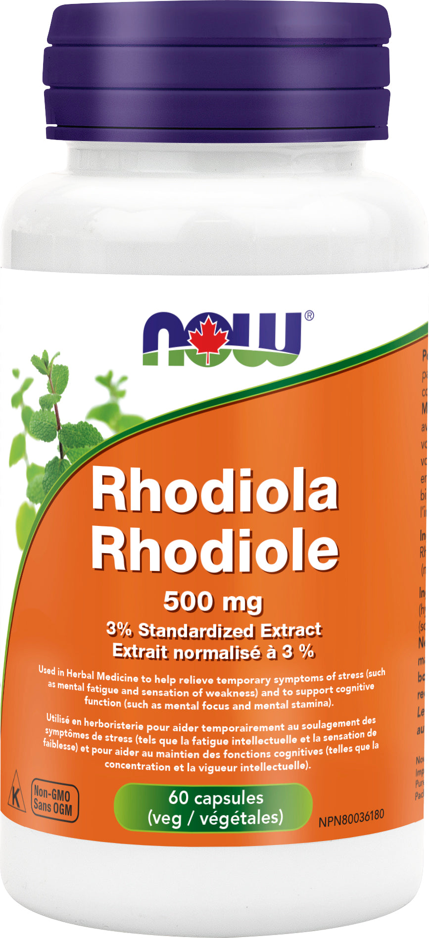 NOW Rhodiola(Arctic Root) 500mg 60 Vegetarian Capsules
