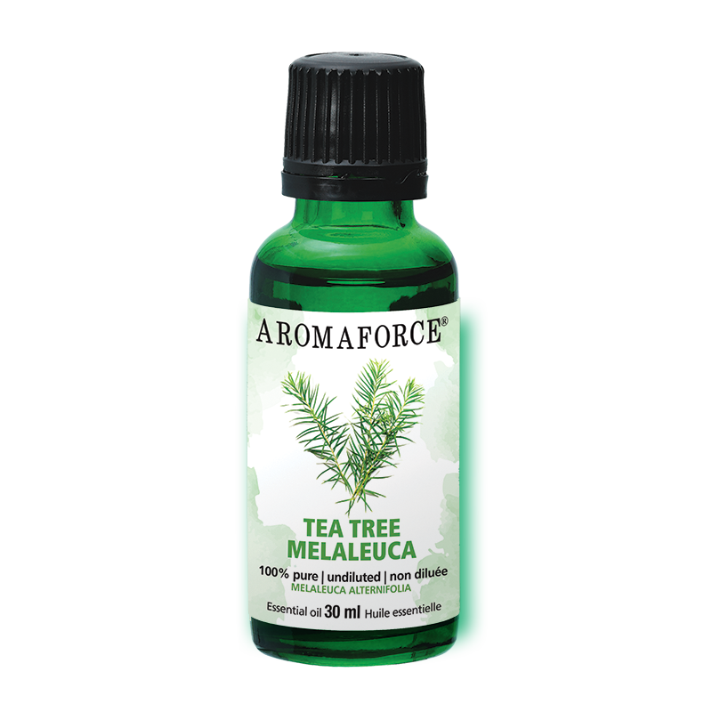 Aromaforce Tea Tree Essential Oil 30ml