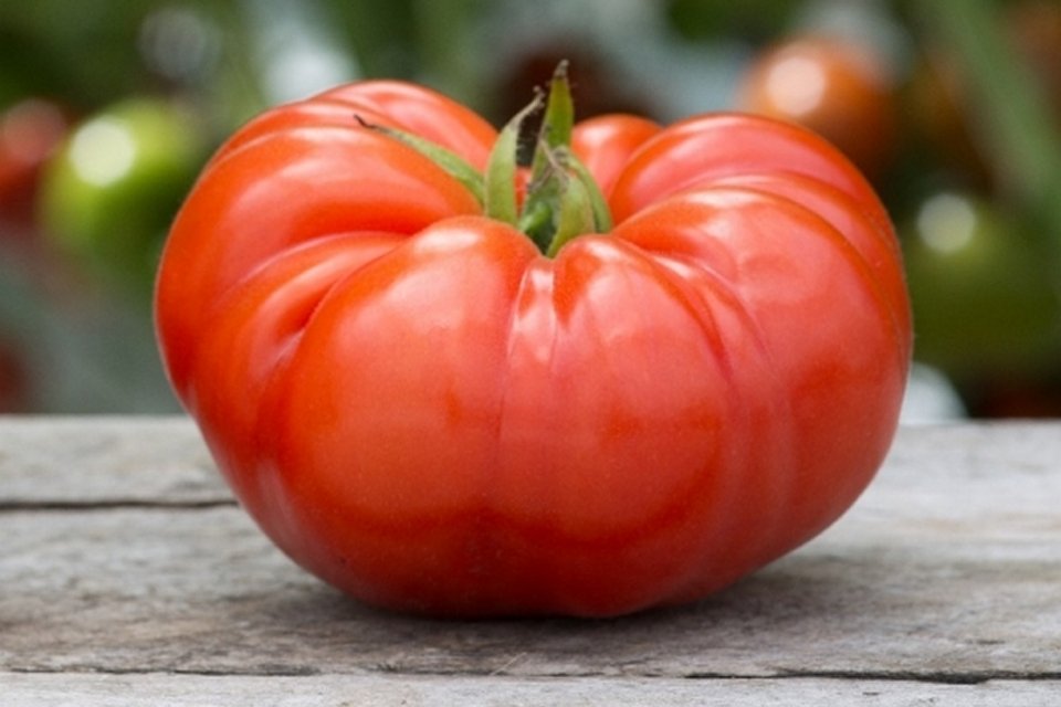 Richters Watermelon Beefsteak Tomato Natural Seeds Packet
