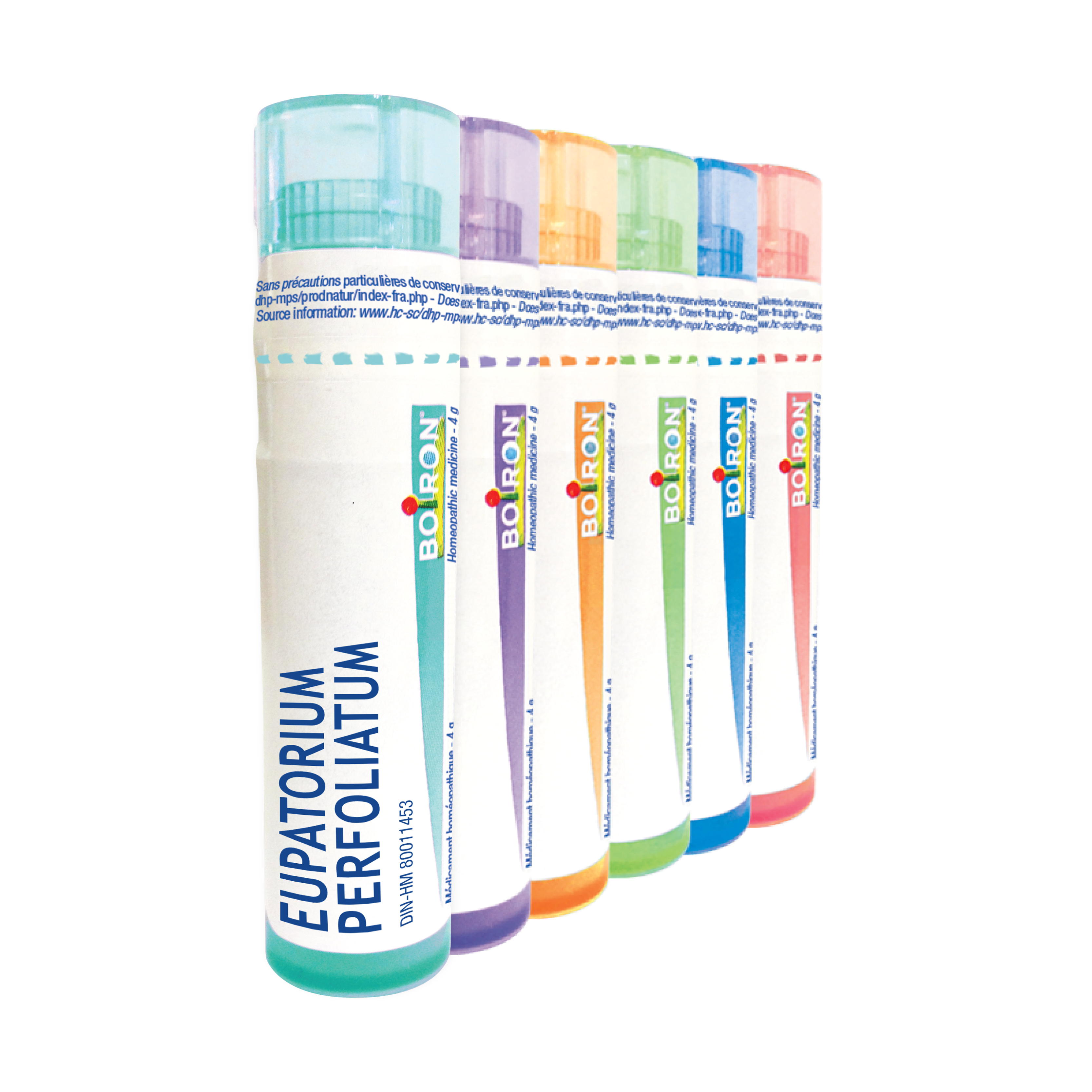 Boiron Eupatorium Perfoliatum 200CH Pellets