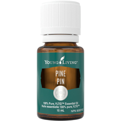 Young Living Pine Essential Oil 15ml