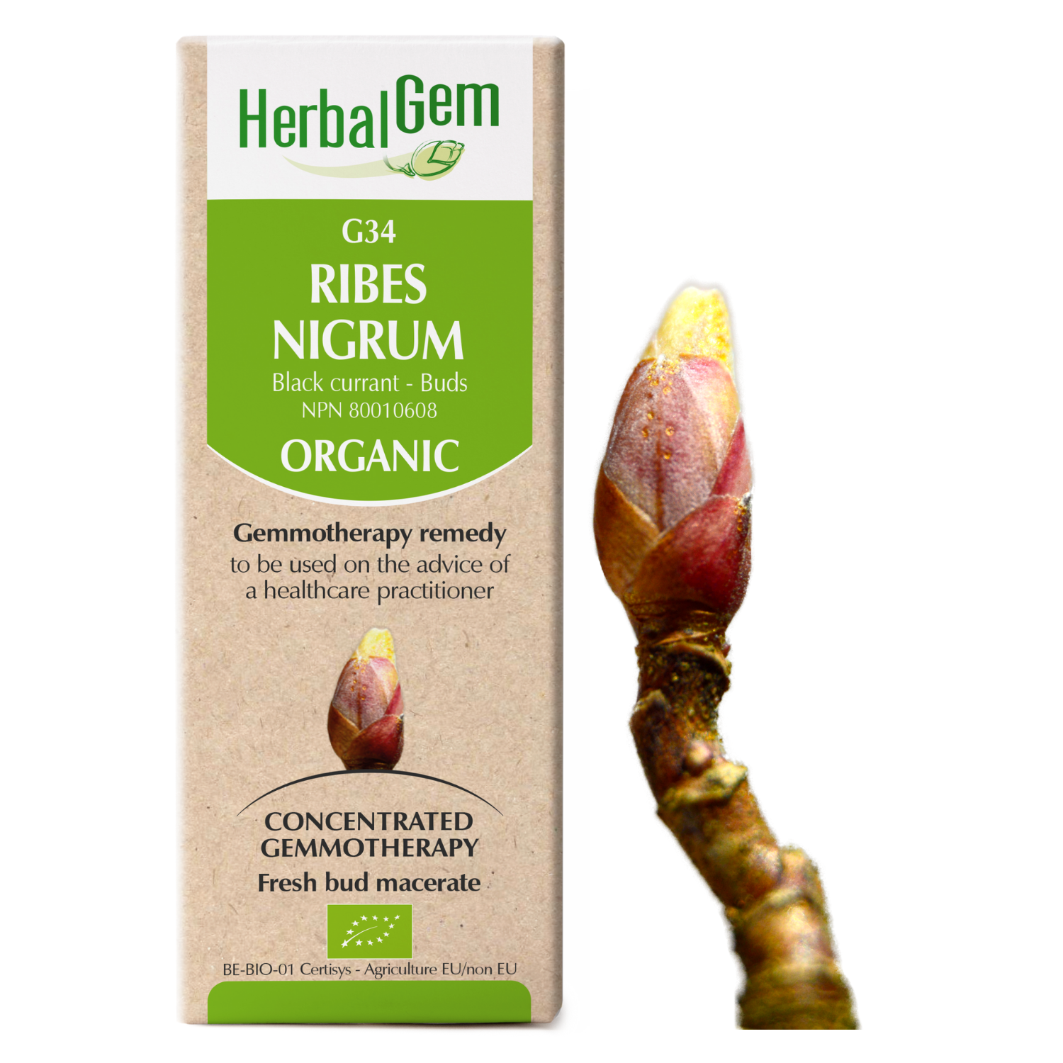 Herbal Gem G34 Ribes Nigrum 15ml