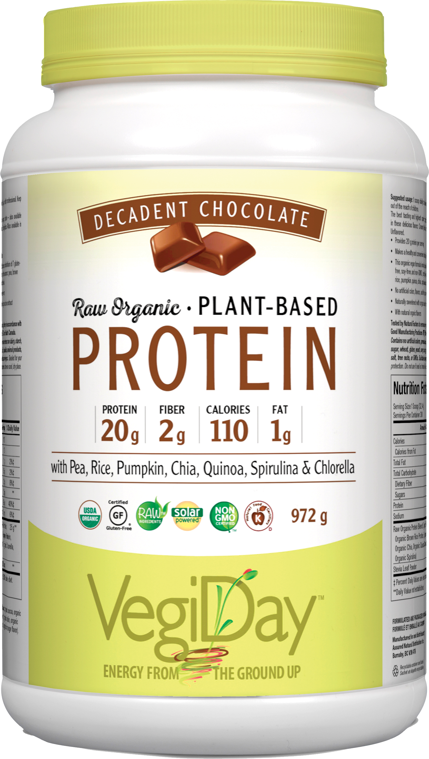 VegiDay Raw Organic Plant Protein Chocolate 972g