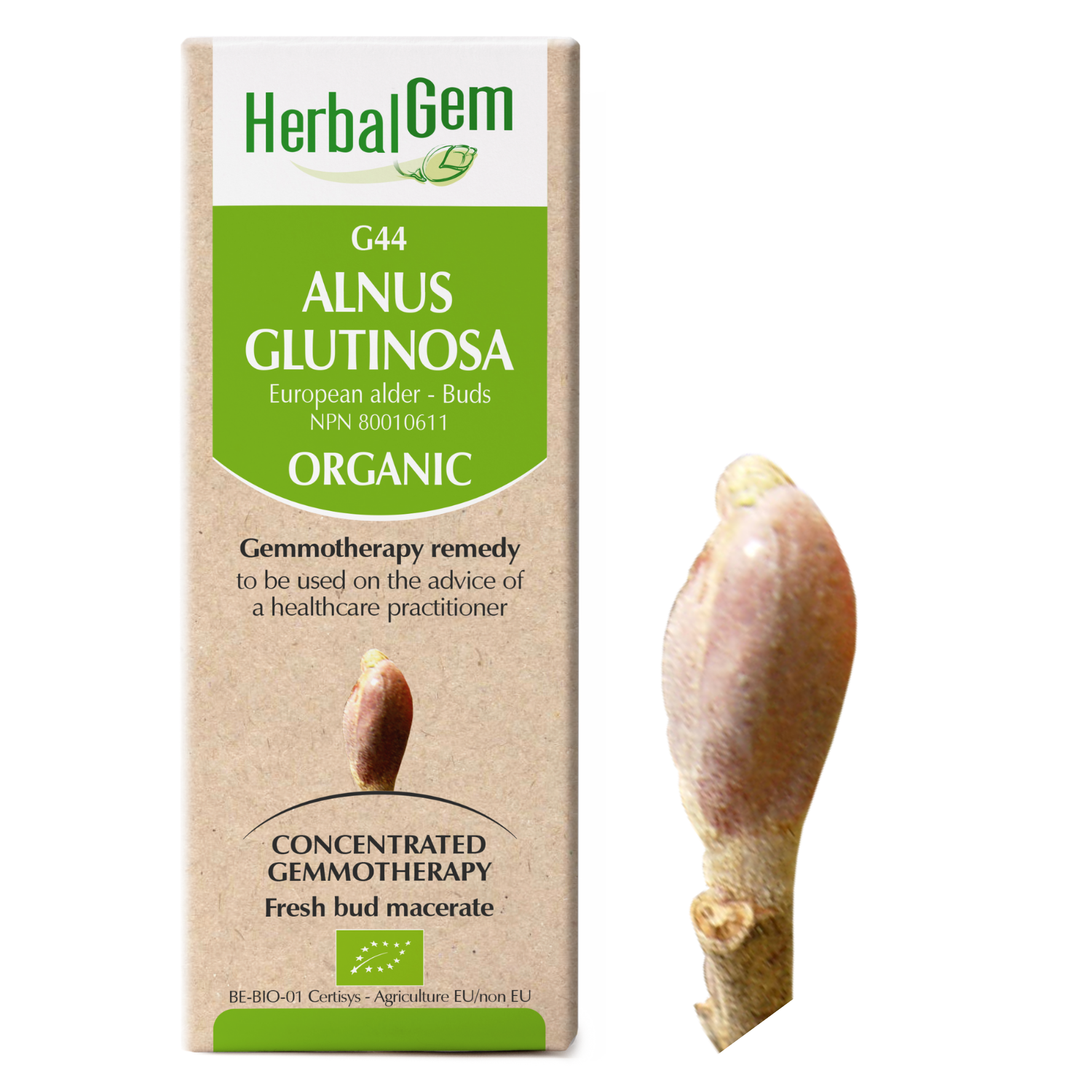 Herbal Gem G44 Alnus Glutinosa 30ml
