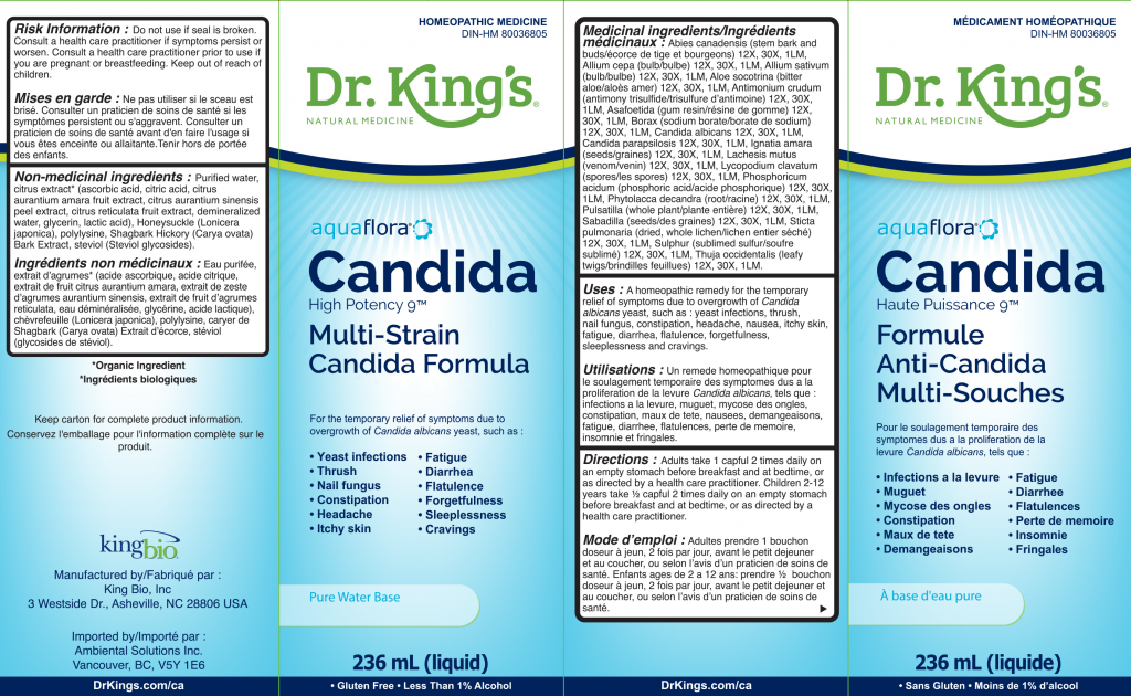 Dr. King’s Multi-Strain Candida Formula 236ml