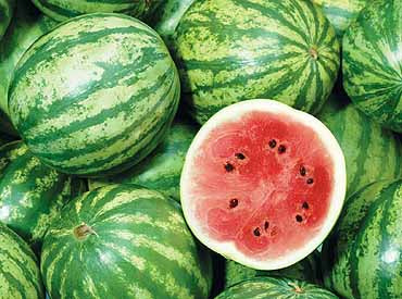 Richters Herbs Crimson Sweet Watermelon Natural Seeds Packet