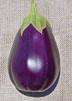 Richters Herbs Black Beauty Eggplant Natural Seeds Packet