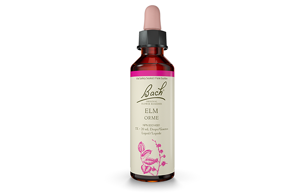 Bach Original Flower Remedy Elm 20ml