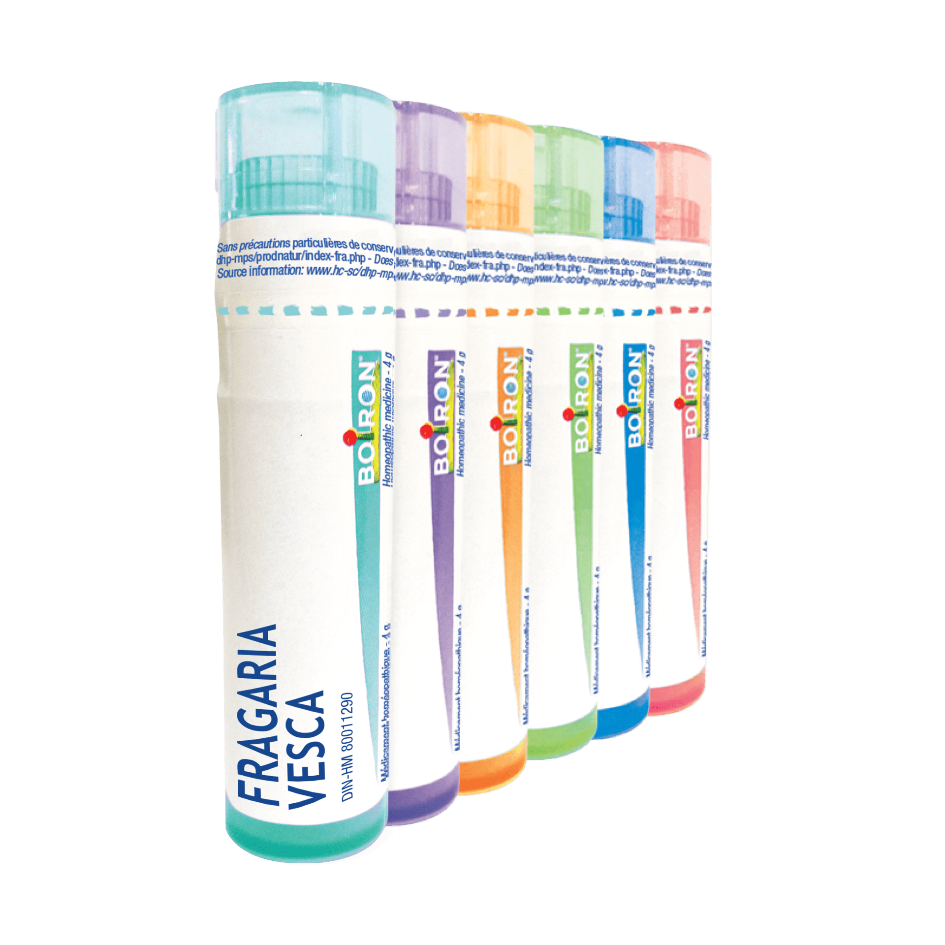 Boiron Fragaria Vesca 9CH Pellets