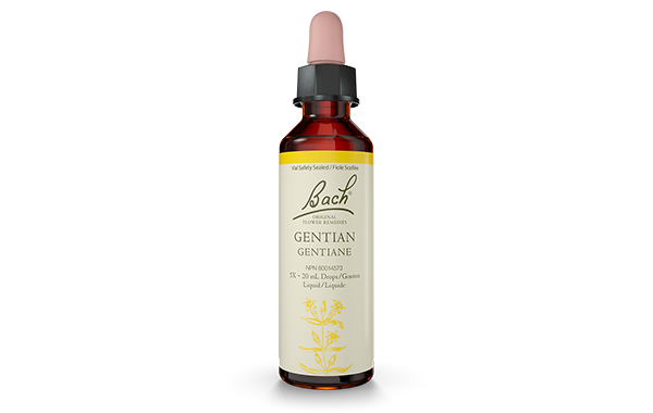 Bach Original Flower Remedy Gentian 20ml