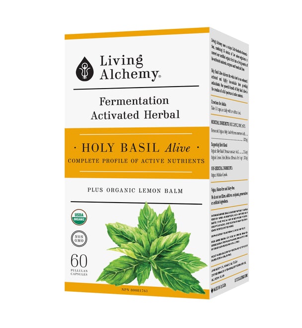 Living Alchemy Fermented Holy Basil Alive 60 Pullulan Capsules
