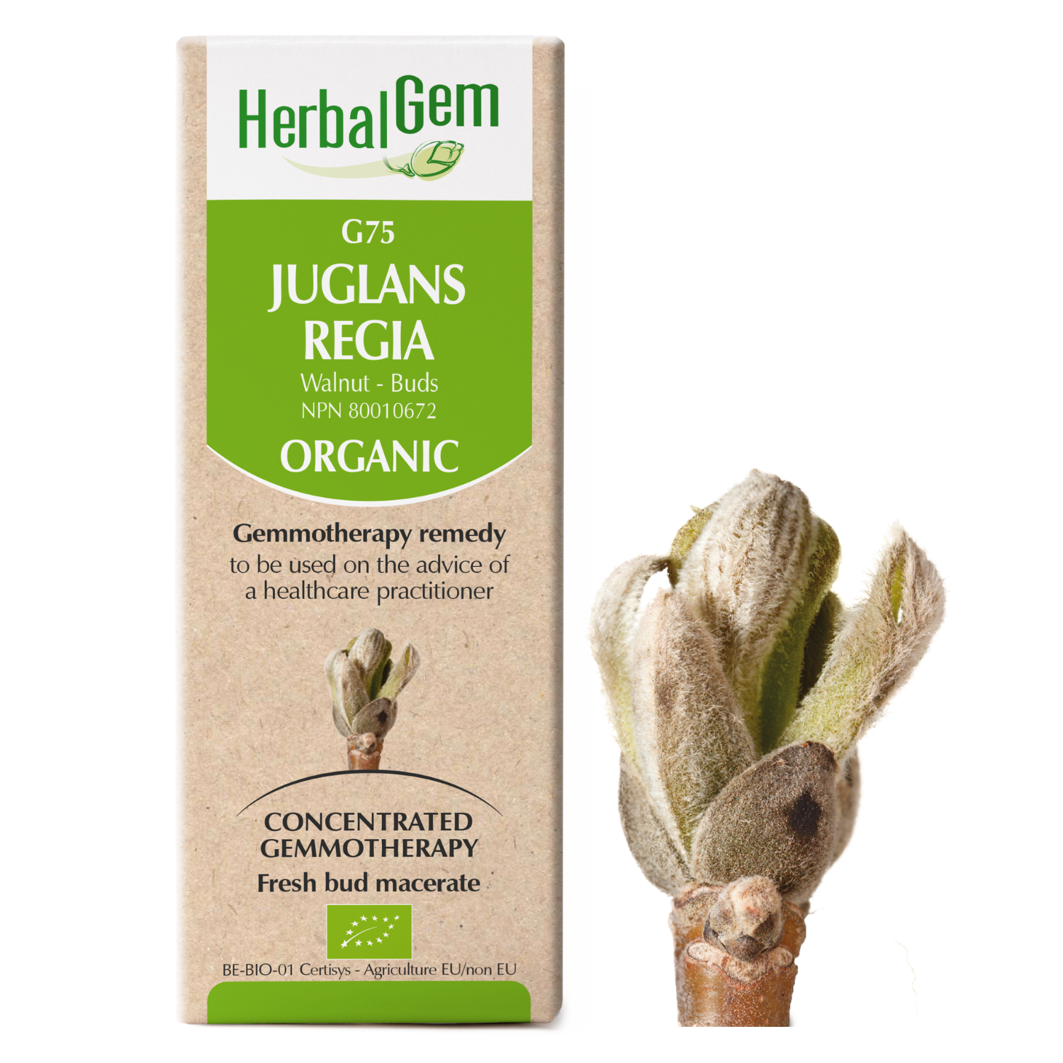 Herbal Gem G75 Juglans Regia 15ml