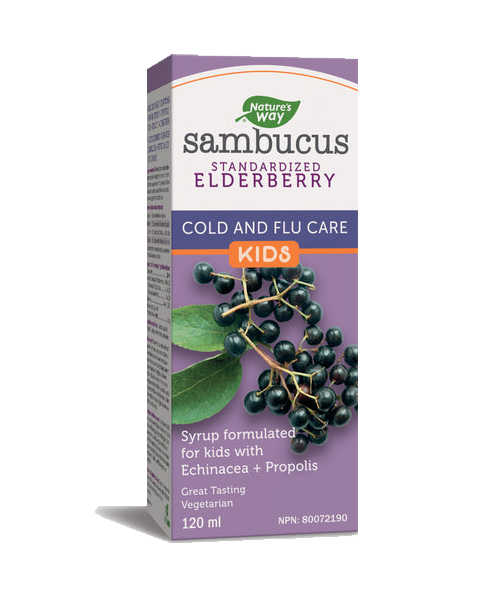 Nature's Way Sambucus Elderberry Syrup For Kids 120ml