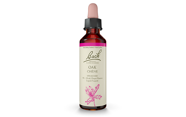Bach Original Flower Remedy Oak 20ml