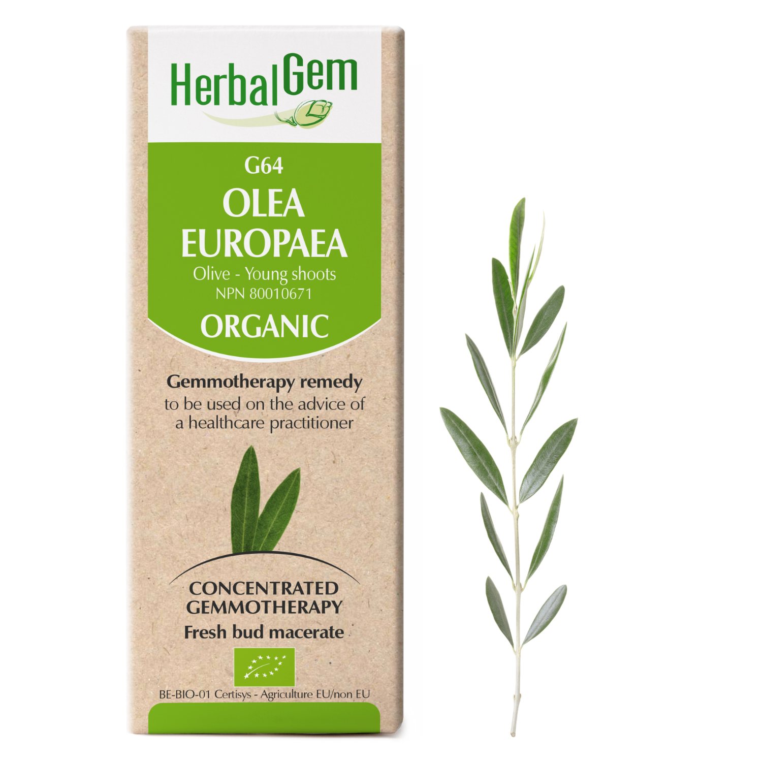 Herbal Gem G64 Olea Europaea 30ml