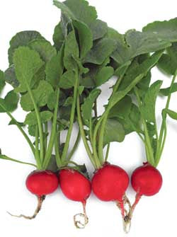 Richters Herbs Cherrybelle Radish Natural Seeds Packet