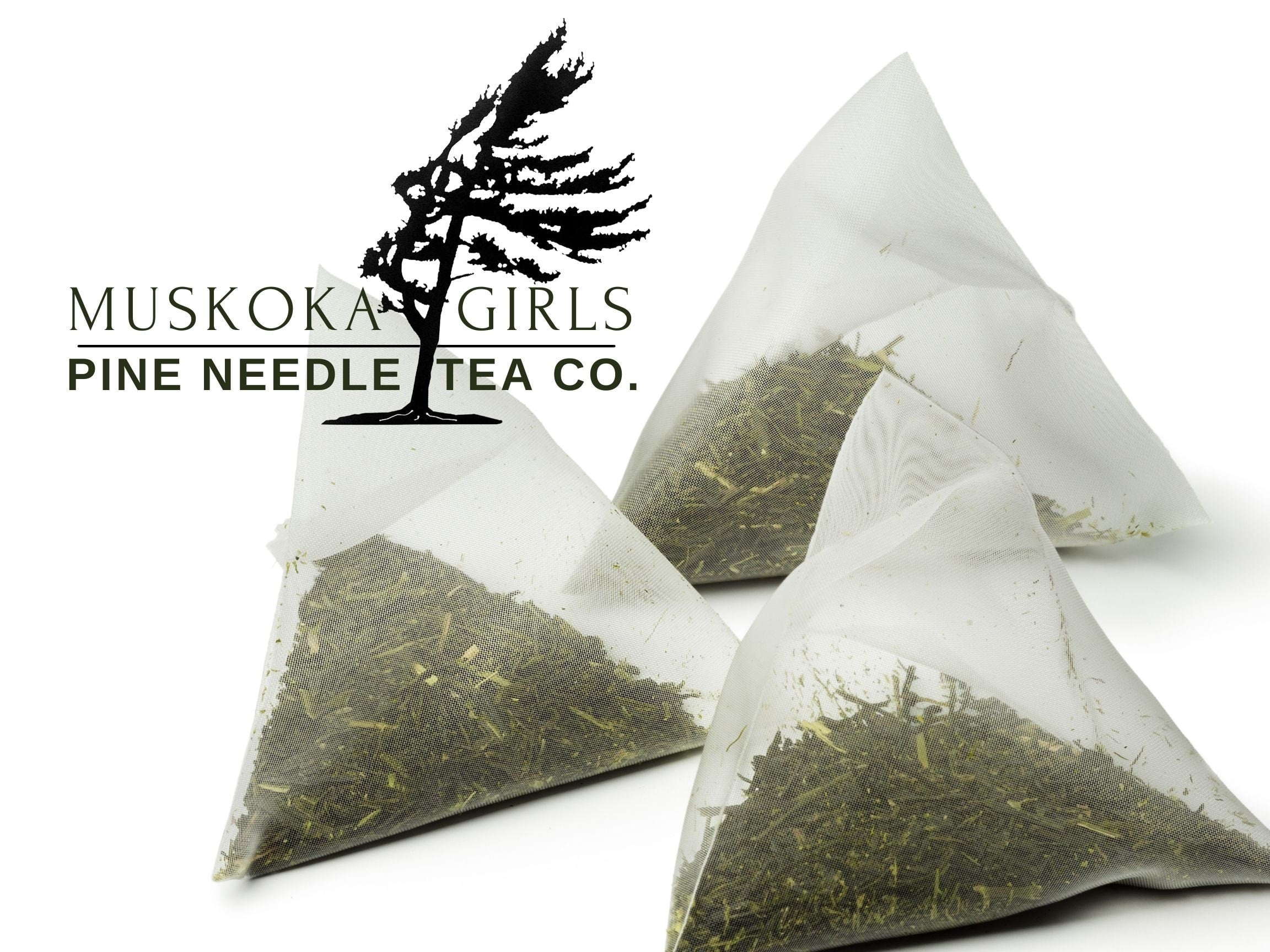 Muskoka Girls Tea White Pine Needle Tea 1 Month Supply (12 Bags)