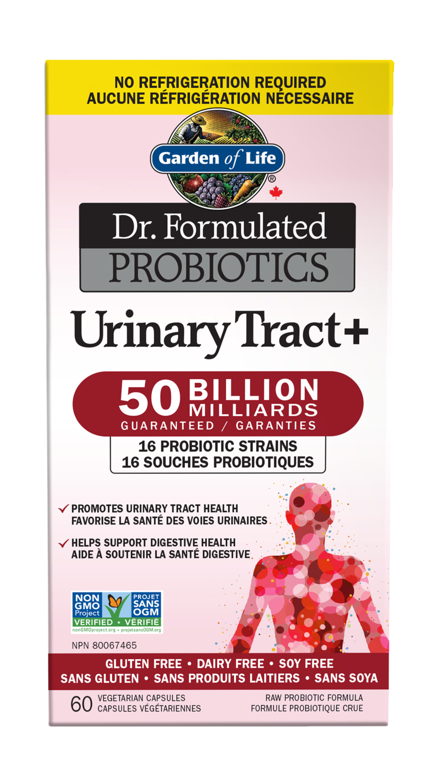 Garden of Life Dr. Formulated Probiotics Urinary Tract+ 60 Vegetarian Capsules